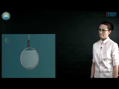 Видео: 11 класс  Наблюдение интерференции и дифракции света