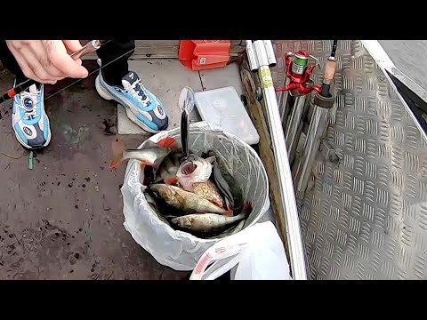 Видео: ВЕДРО РЫБЫ! На что ЛОВИТЬ ОСЕНЬЮ. Карелия, Онежское озеро.