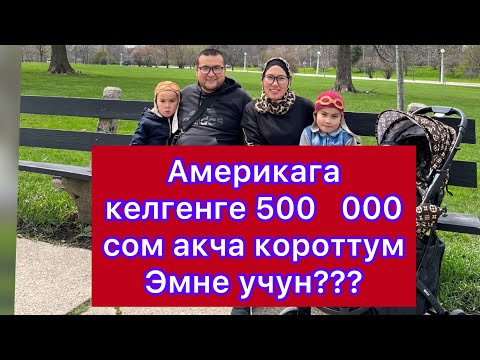 Видео: Дс 260 анкета толтуруу /Американга келуу документерге канча акча керек / Бекер жардам алуу