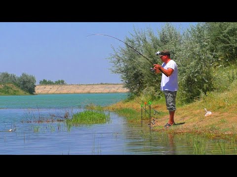 Видео: САЗАНЫ и АМУРЫ ЗДЕСЬ ПРЯМ ПОД НОГАМИ ПЛАВАЮТ но КАК их ПОЙМАТЬ???