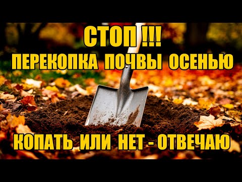 Видео: ОСЕННЯЯ перекопка почвы - БЕСПОЛЕЗНЫЙ ТРУД или БЛАГО