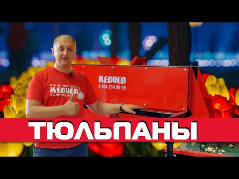 Видео: ИДЕАЛЬНЫЕ ЛУКОВИЦЫ ТЮЛЬПАНОВ | ПОДГОТОВКА СЕМЯН ЦВЕТОВ на ЛИНИИ КАЛИБРОВКИ и ОЧИСТКИ MEDVED