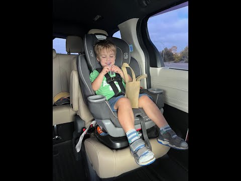 Видео: Маленький музей — огромные эмоции! Наш день в San Diego Natural History Museum 🦖»