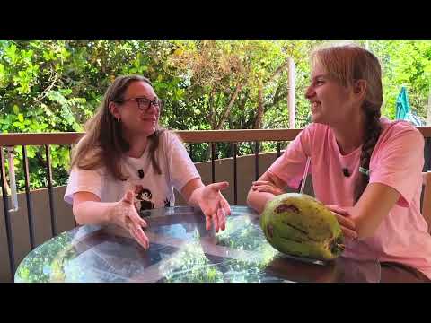 Видео: Переезд в Бразилию, работа, язык, роды 