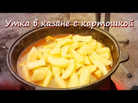 Видео: Утка в казане с картошкой - тушеная утка в казане на костре | Вкусный рецепт
