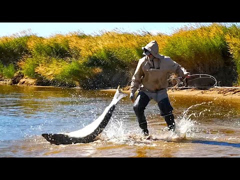 Видео: ПОШЁЛ ПОШЁЛ ПОШЁЛ...! Поймал Монстра на Спиннинг