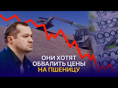 Видео: Кто манипулирует рынком зерновых в Казахстане?