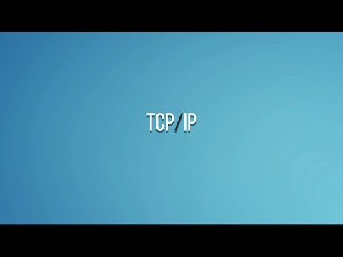 Видео: Winderton / Основы программирования. TCP/IP.