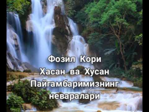 Видео: Пайгамбаримизнинг Неваралари Хасан ва Хусан хакида.Фозил Кори Hasan va Husan haqida