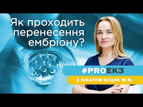 Видео: Як проходить процедура перенесення ембріону?