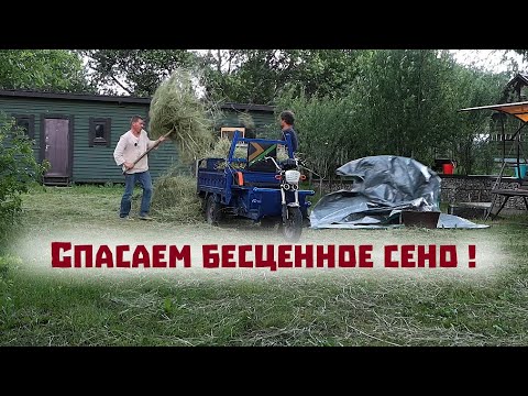 Видео: Спасаем сено , находим новую шабашку и экспериментируем в огороде!..