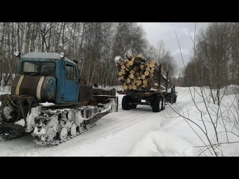 Видео: Эвакуируем Мтз-50 на дт-75 из снежного плена. Советские трактора в деле.