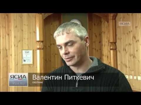 Видео: Шкурка якутского соболя продана на  аукционе за рекордную сумму в 2600 долларов