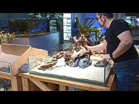 Видео: Перезапуск инсулариума, новый дизайн.