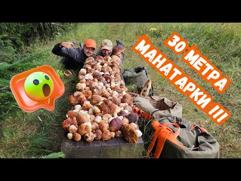 Видео: #манатарки Те са повече от #дървета Та в #рила #планина 