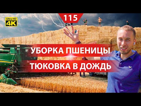 Видео: Уборка пшеницы, тюковка соломы и лайфхаки от Николая Монашка. Устанавливаем метеостанцию