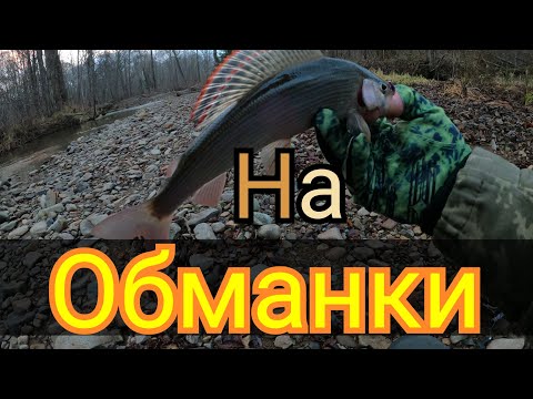 Видео: Осенний Хариус .Рыбалка на Дальнем Востоке