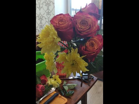 Видео: Зима 2024. Черенкуем букетные розы и хризантемы.