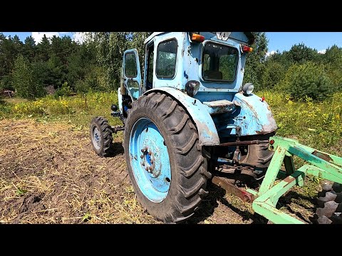 Видео: ЮМЗ не может Т-40 поможет. Дискую овес.