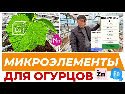 Видео: МИКРОЭЛЕМЕНТЫ ДЛЯ ОГУРЦОВ. #теплица #агробизнес #удобрения #рассада #микроэлементы