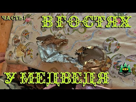 Видео: В гостях у медведя (часть 1)