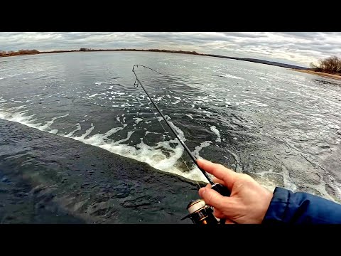 Видео: Микроджиг на Москва реке. Рыбалка с ультралайтом. #срыбалки