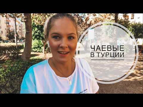 Видео: ЧАЕВЫЕ В ТУРЦИИ / СКОЛЬКО ЗАЧЕМ КОГДА И ПОЧЕМУ? ПЕРВЫЙ РАЗ В ТУРЦИЮ. ЧТО НУЖНО ЗНАТЬ НОВИЧКУ? ТУРЦИЯ