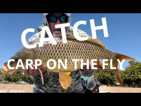 Видео: Ловля карпа нахлыстом: эти 12 шагов увеличат ваш улов