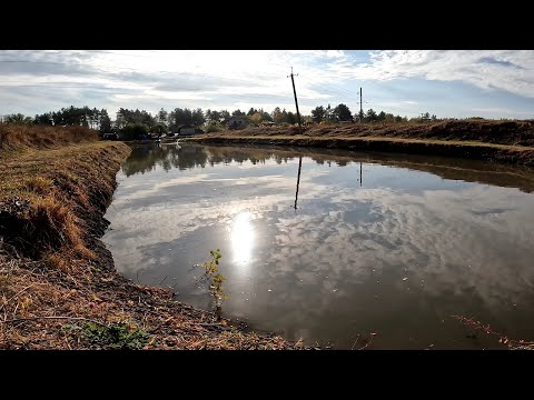 Видео: Разведение раков в огороде , что получилось за три года?)  Жизнь У Пруда