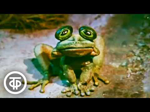 Видео: Квакша. Мультфильм по мотивам сказки Константина Паустовского (1979)