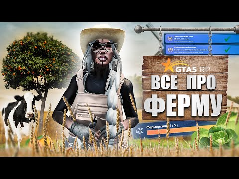 Видео: ВСЕ О ФЕРМЕ В GTA 5RP | СЕКРЕТЫ УСПЕШНОГО ФАРМА | КАК БЫСТРО ПРОКАЧАТЬ ФЕРМЕРА | БЫСТРЫЙ ЗАРАБОТОК