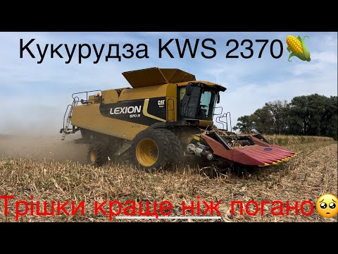 Видео: Велике розчарування🤷🏻‍♂️ Продовжуємо жнива кукурудзи 🌽 КWS 2370‼️ зовнішність оманлива🥺