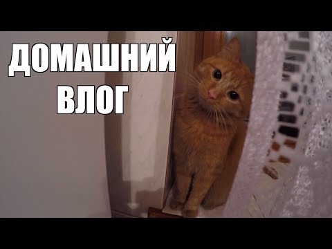 Видео: ПОЧЕМУ МОЯ ЗЛАЯ СЕСТРА ТАКАЯ ДОБРАЯ ?