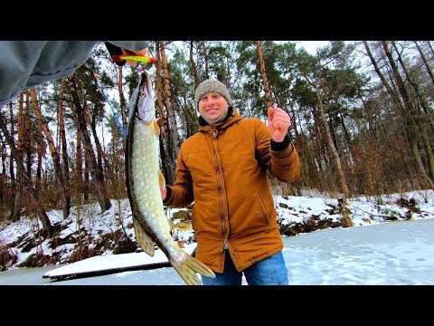 Видео: Полный отрыв по щуке на балансиры! Щучье эльдорадо в лесу! Готовим наш улов прямо на льду!