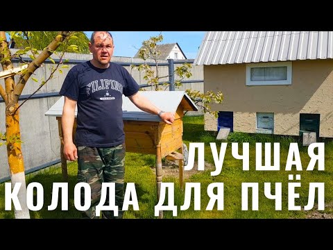 Видео: КЕННИЙСКИЙ УЛЕЙ - ЛУЧШАЯ КОЛОДА ДЛЯ ПЧЁЛ