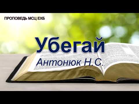 Видео: Убегай. Антонюк Н.С. Проповедь. МСЦ ЕХБ