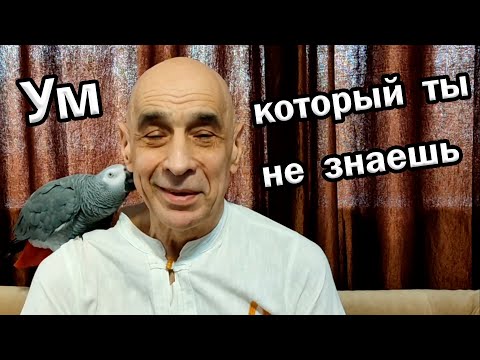 Видео: Обратная сторона твоего я, которое ты не знаешь / Самоисследование