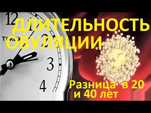 Видео: 🙂Длительность Овуляции и Разница в 👧20-40 лет (Вопросы по Зачатию со СТАТИСТИКОЙ!)