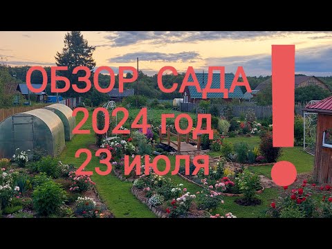 Видео: Мой деревенский  сад!