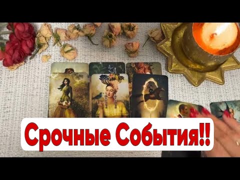 Видео: ❤️ СРОЧНО! Это Непременно СЛУЧИТСЯ ! Вы УДИВИТЕСЬ!  ❤️ Зеркальное ТАРО ❤️