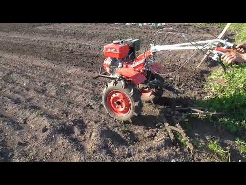 Видео: Бороним картошку.Пробуем "БРАЙТ" с бороной.