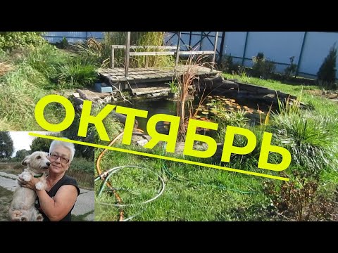 Видео: Куда уходит вода из плёночного пруда? Подготовка пруда к зиме