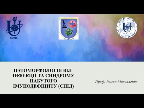 Видео: ПАТОМОРФОЛОГІЯ ВІЛ-ІНФЕКЦІЇ ТА СИНДРОМУ НАБУТОГО ІМУНОДЕФІЦИТУ (СНІД)