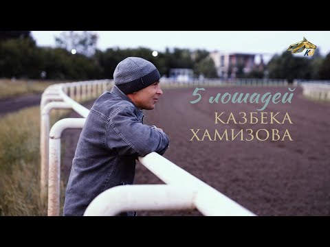 Видео: PRO_Конников. Тренер Казбек Хамизов. 17 июля 2022 года. 18:40