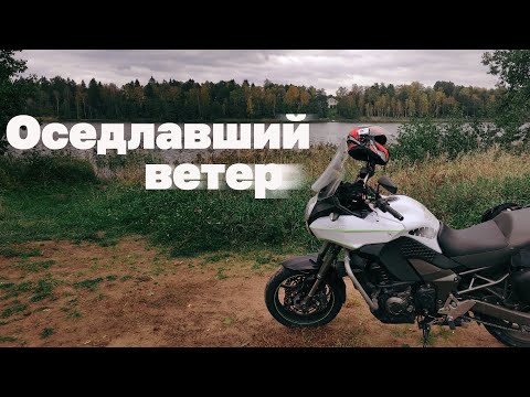 Видео: В Жадины за штрафом. День второй