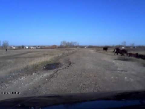 Видео: Карасевка  1 часть