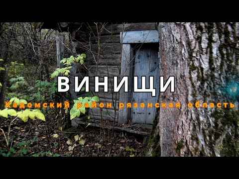 Видео: д.Винищи