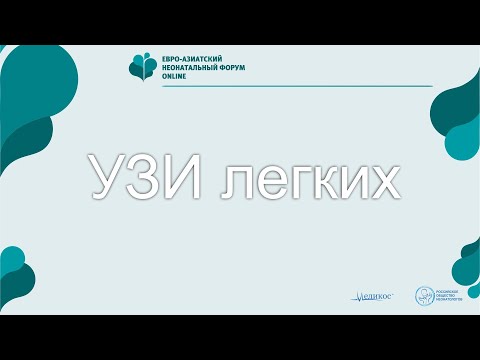 Видео: УЗИ легких
