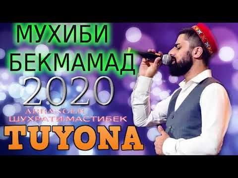 Видео: МУХИБИ-БЕКМАМАД***2020 TUYONA