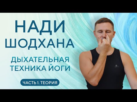 Видео: Нади шодхана ПРАНАЯМА. Дыхательная техника йоги. Часть 1. Теория • Пранаяма для начинающих